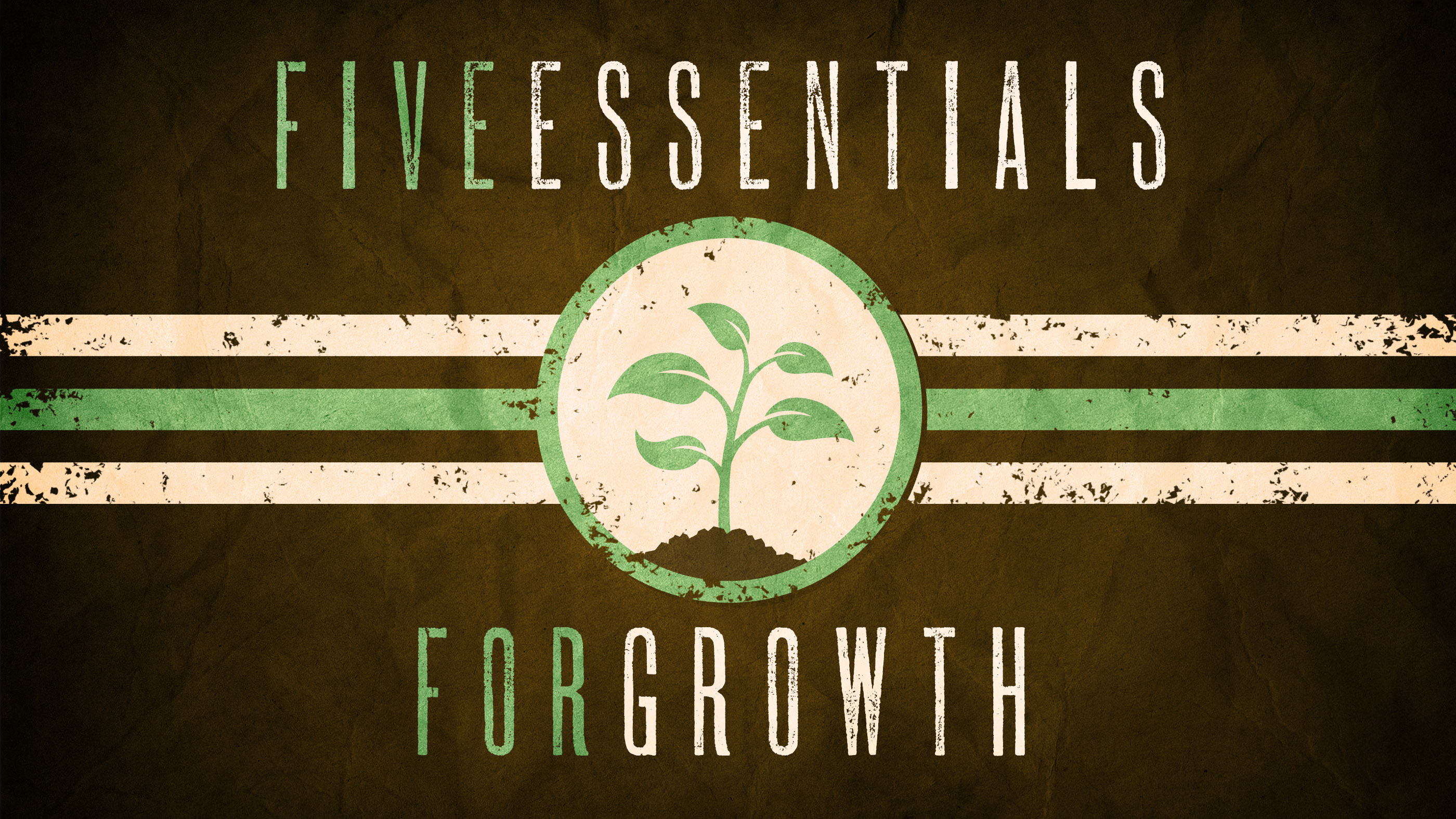 Essentials For Growth