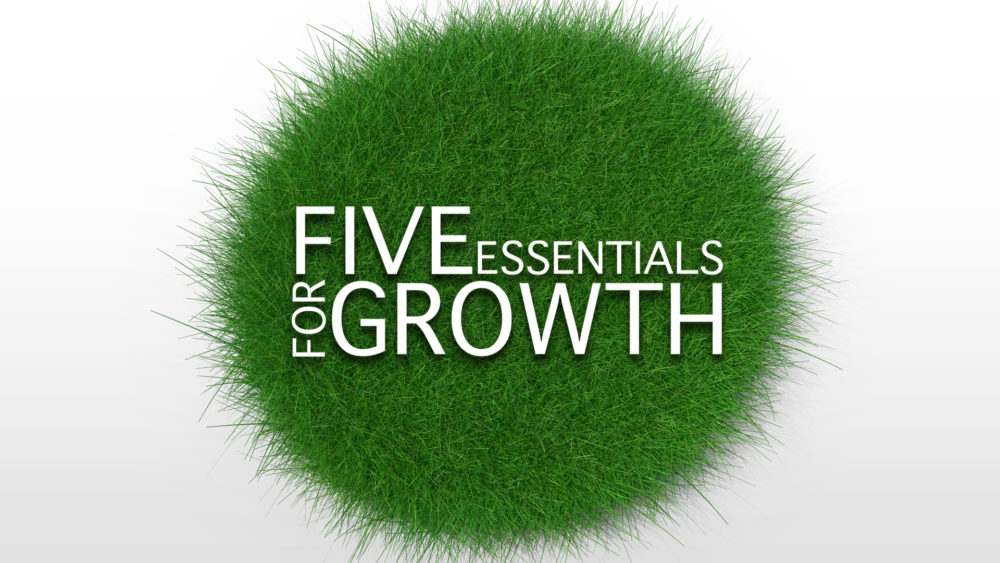 Five Essentials For Growth